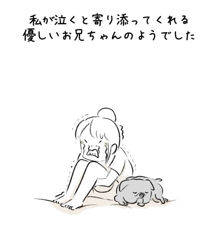 愛犬との泣けるエピソードを描いた漫画のカット（たけのこさん提供）