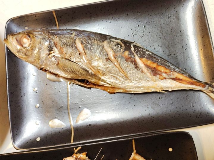 【天然魚クエスト】味わい深い！鯵だけにね…