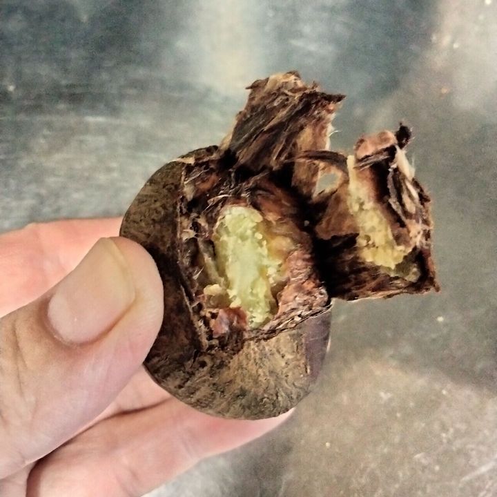 栗の皮が手でむける！簡単な栗の皮むき方法