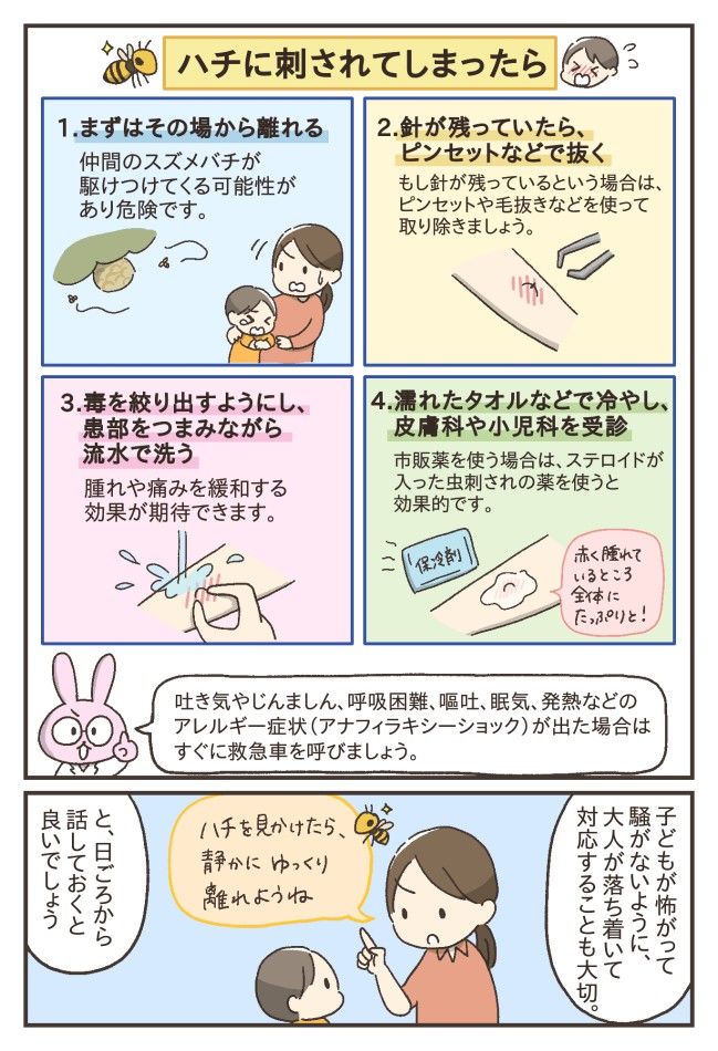 スズメバチ対処法