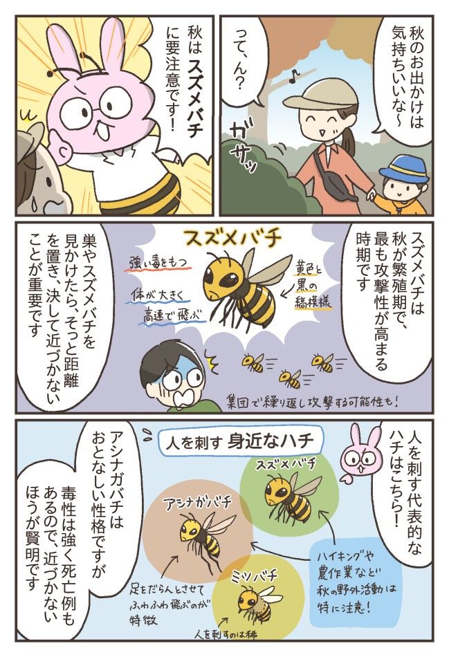 スズメバチ対処法