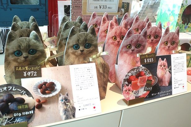 ミュージアムショップには、チョコレートやチョコに関するアイテムがズラリ