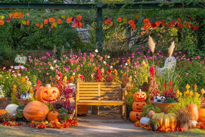 ハロウィン装飾（2025年）