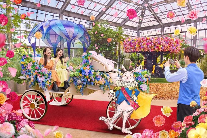 白うさぎのロイヤル インビテーション