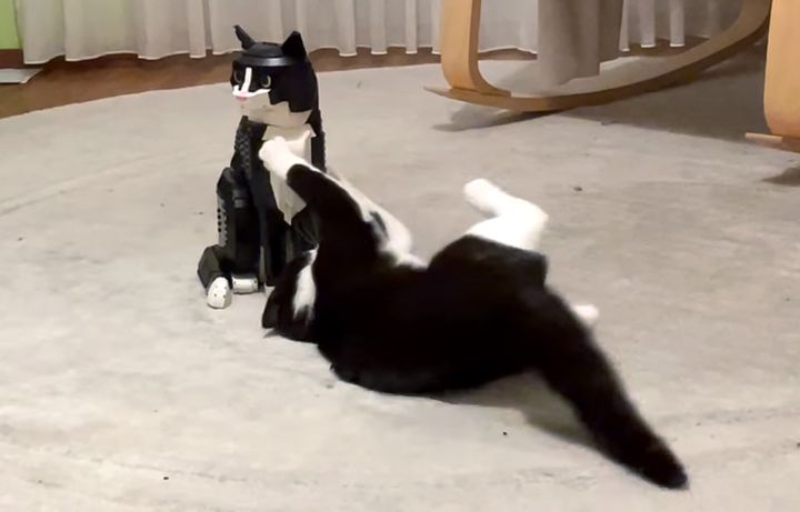 レゴの猫に戦いを挑む猫