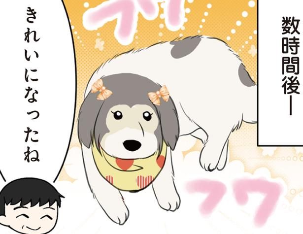 シャンプーしたばかりの大型犬。数時間後の姿に飼い主がぼう然！ （C）今日のルンルン、ゆに／KADOKAWA