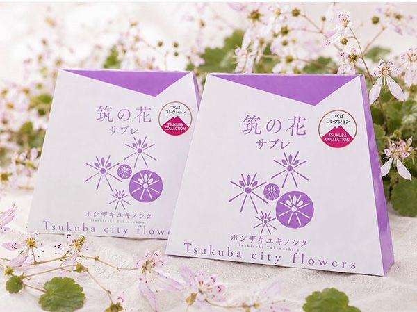 地域資源をお菓子に落とし込む！旬果菓子「つくばsweets」で「笠間栗フェア」開催中