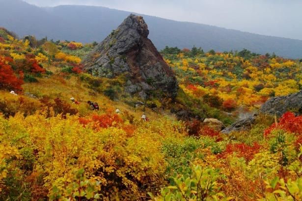 見頃を迎えそうな紅葉名所をピックアップ※写真は栗駒山(岩手県)の紅葉 画像提供：一関市観光協会