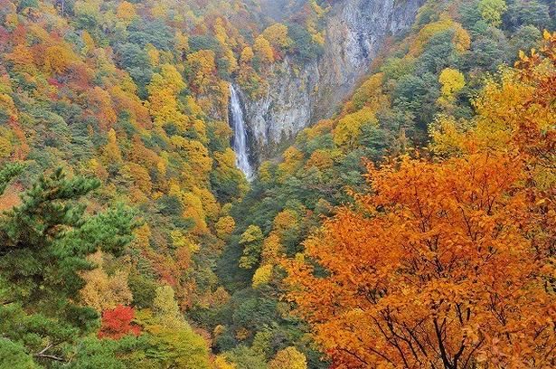 流れる滝が紅葉に趣きを添える/志賀高原の紅葉 画像提供：志賀高原観光協会