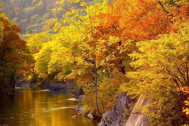 最もおすすめな紅葉の錦仙峡/滝上渓谷 錦仙峡の紅葉 画像提供：一般社団法人滝上町観光協会
