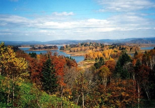 大小13の島々の鮮やかな彩りが美しい/道立自然公園 朱鞠内の紅葉 画像提供：朱鞠内湖観光案内所