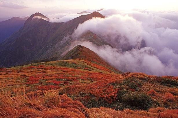 ダイナミックな山並みを紅葉が赤く染め上げる/谷川岳の紅葉 画像提供：みなかみ町観光協会