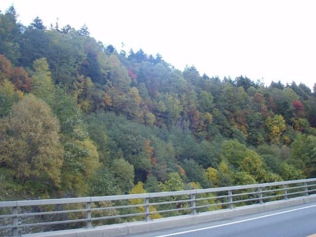 道路沿いを紅葉が彩る/日勝峠の紅葉 画像提供：日高町役場