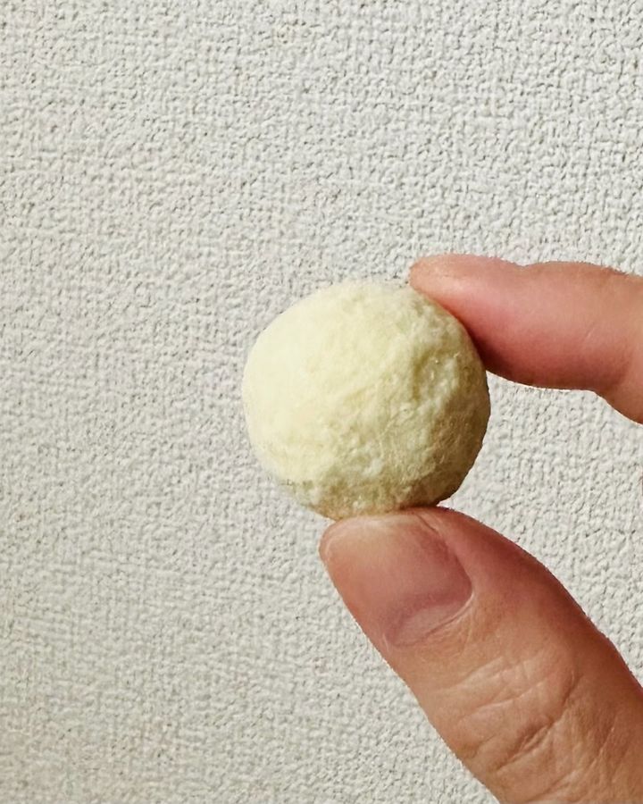 六花亭 札幌本店でしか買えないカンパーナふらの本体（生ぶどうをホワイトチョコレートでコーティング）