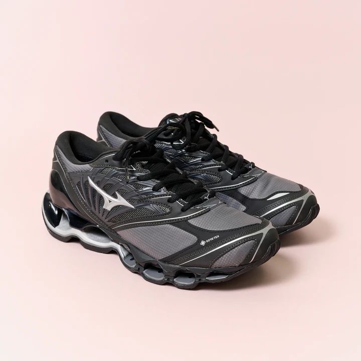 ミズノのスニーカー 休日 WAVE PROPHECY LS GTX ゴアテックス