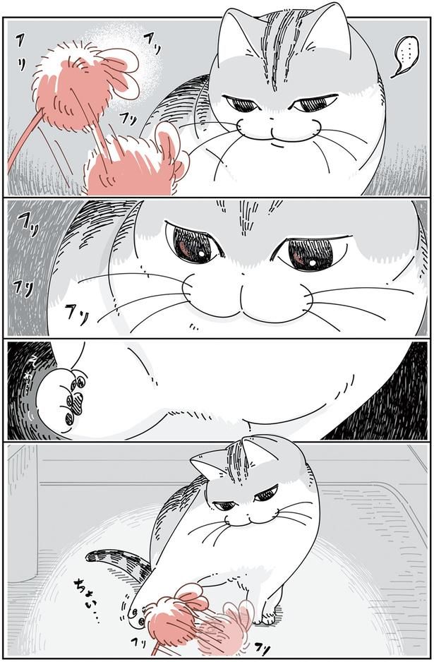ちょい… （C）キュルZ／KADOKAWA
