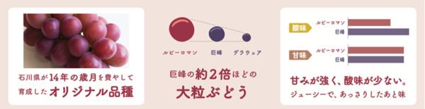 石川県産赤ぶどうの果汁を使った「ルビーロマンサワー」再発売！被災地を継続的に応援