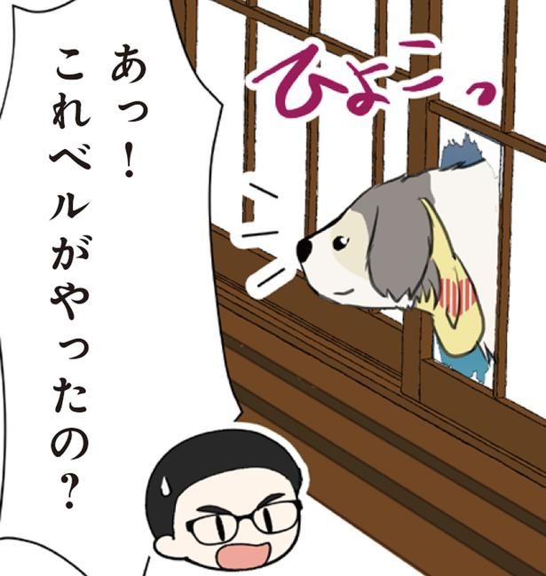 障子に大きな穴を発見。“犯人”らしき大型犬がしらじらしい！ （C）今日のルンルン、ゆに／KADOKAWA
