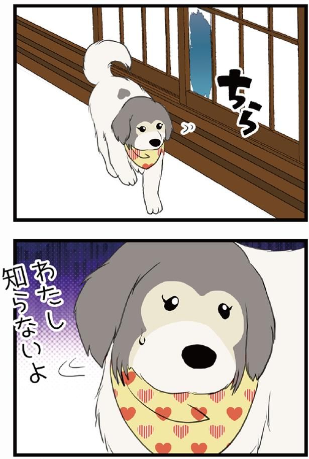 わたし知らないよ （C）今日のルンルン、ゆに／KADOKAWA