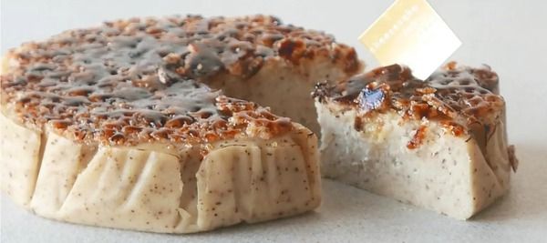 【大阪府堺市】植物性原料で仕上げた「tsunagu 発酵カシューチーズケーキ」登場。乳不使用なのに、まるでチーズのような濃厚さ