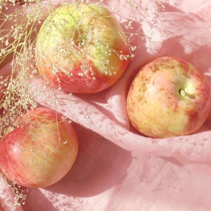 アップルブロッサムの香りを表すりんごと花のイメージ