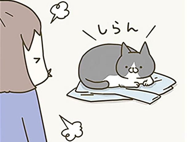 今日着る服の上に猫が！ （C）卵山玉子／KADOKAWA