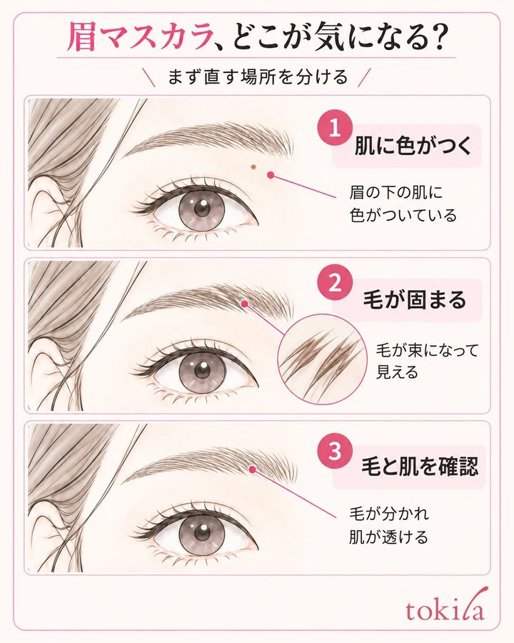 眉の地肌に付着した色、液で束になった毛、肌が透ける状態を同条件で見分ける図