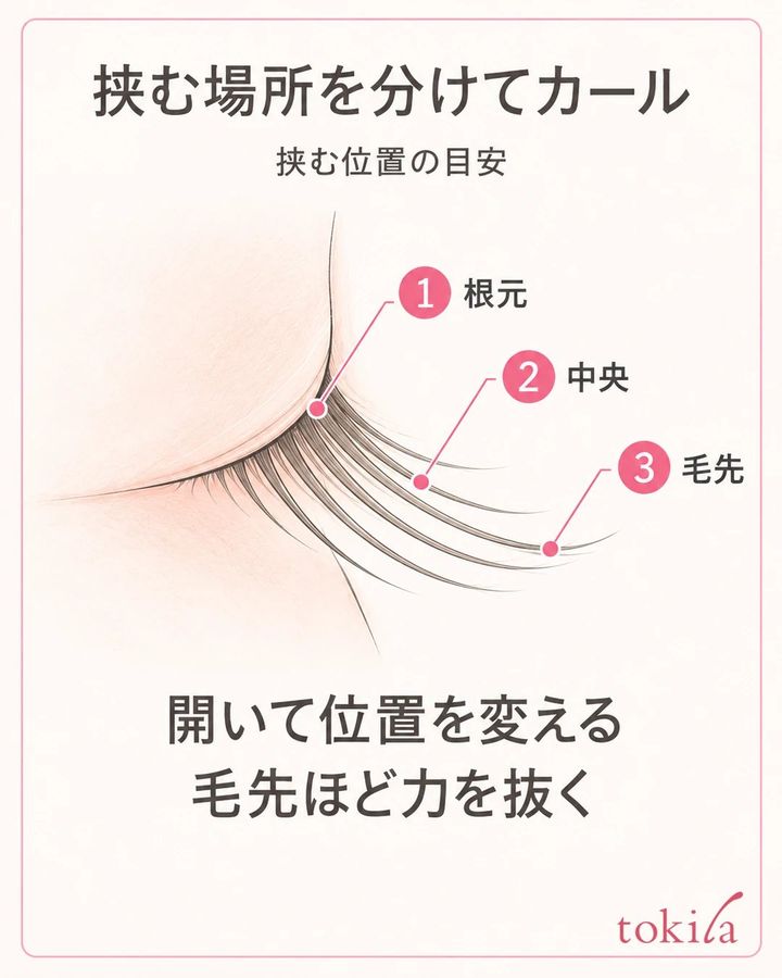 同じ上まつ毛の側面に根元・中央・毛先の三つの位置を示し、開いて位置を変えることを説明する模式図
