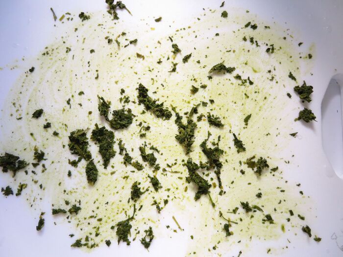飲んだあとの「茶がら」捨てないで！掃除にも料理にも使えて万能すぎた♪