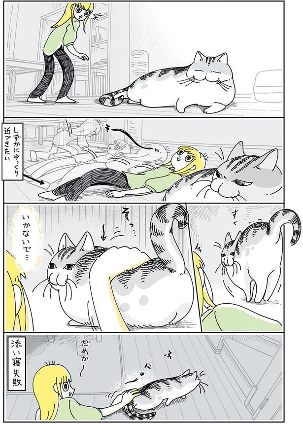 いかないで… （C）キュルZ／KADOKAWA