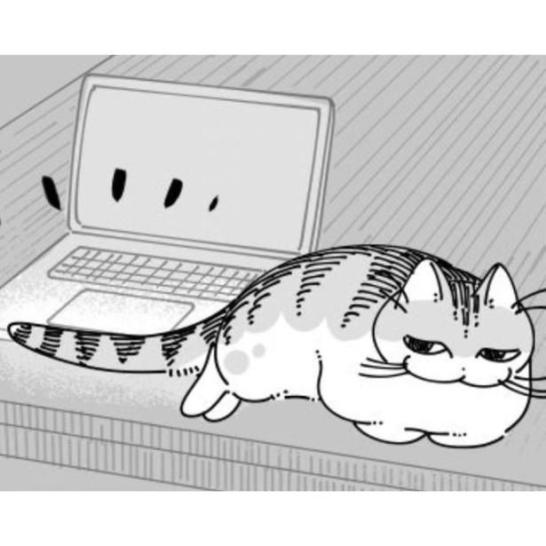 ノートPCの前でしっぽを伸ばす猫 画像提供：キュルZ@kyuryuZ