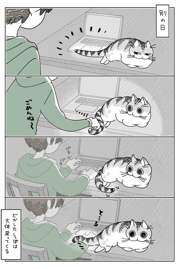 03 画像提供：キュルZ@kyuryuZ