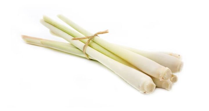レモングラスの茎と葉を束ねた原料イメージ