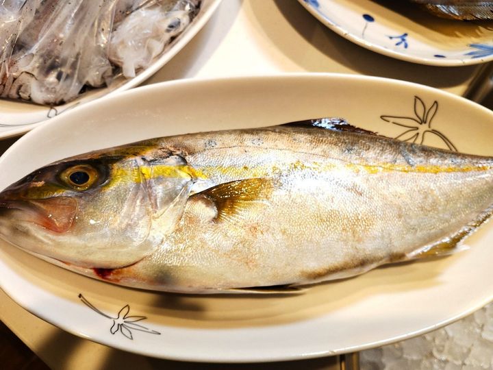 【天然魚クエスト】あなたは一体誰？ブリ御三家って何！？