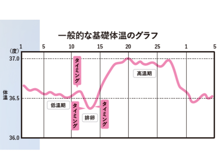 基礎体温