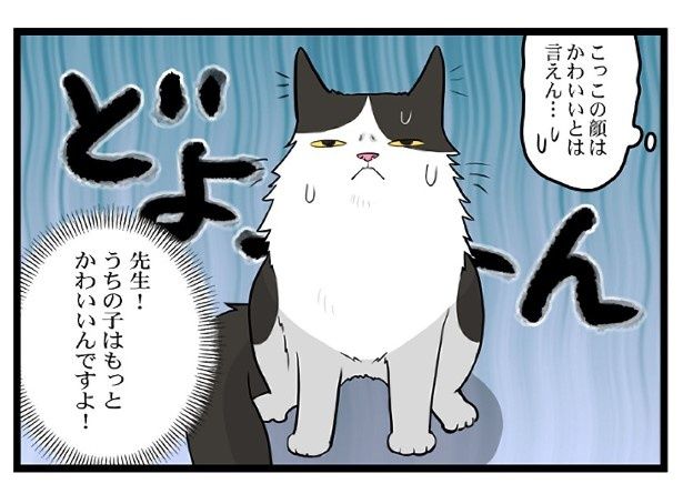 あれ、ちょっと年取った？いつもはちゃんとかわいいんです！ もちこ(@mogutchecho)