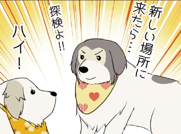 大型犬と一緒に家族旅行。ウキウキでお部屋を探検していると思ったら？ （C）今日のルンルン、ゆに／KADOKAWA