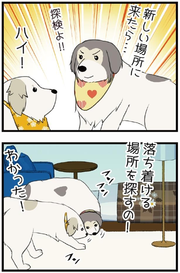 新しい場所に来たら...探検よ！ （C）今日のルンルン、ゆに／KADOKAWA
