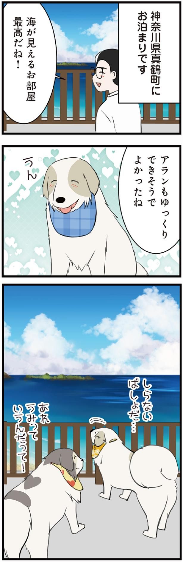 海が見えるお部屋 最高だね！ （C）今日のルンルン、ゆに／KADOKAWA
