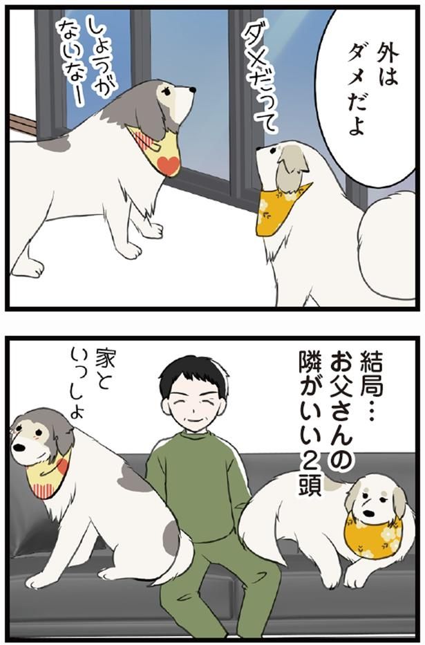 外はダメだよ （C）今日のルンルン、ゆに／KADOKAWA