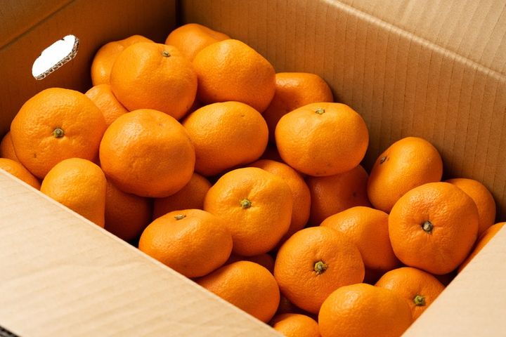 ダンボールに詰められたみかん
