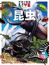  (1717565)