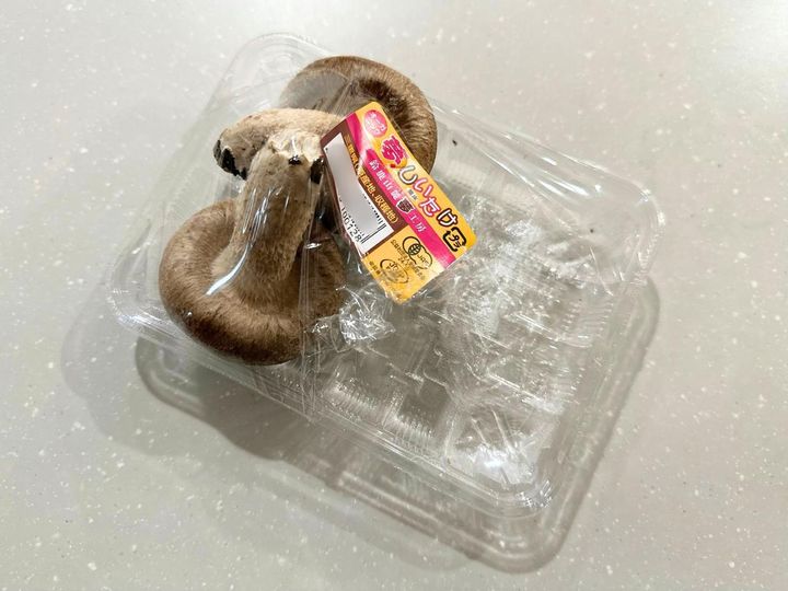 画像: 余ったしいたけで検証