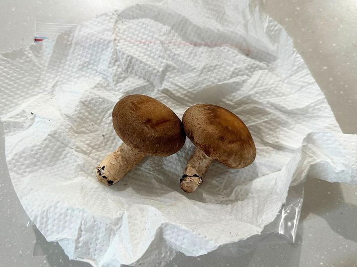 画像: 3日後の変化は？
