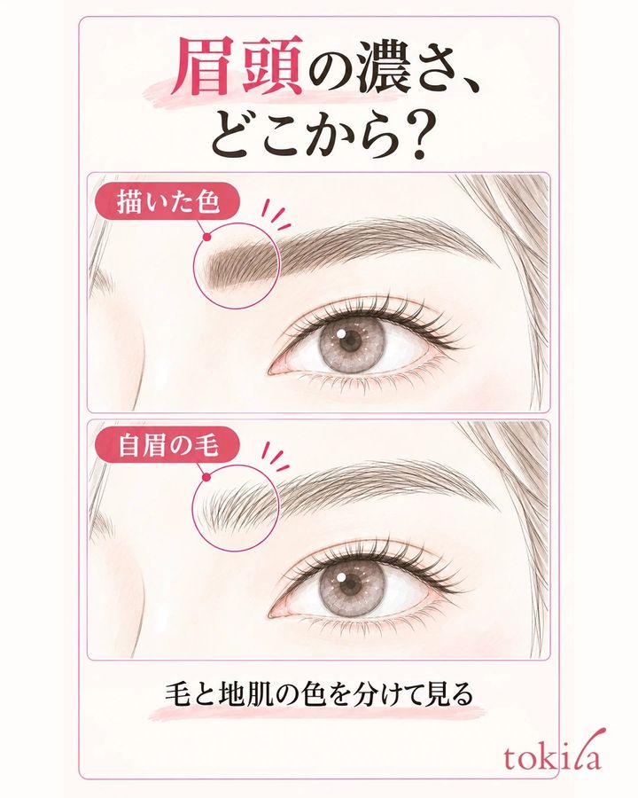同じ眉で地肌に濃く描いた色がある状態と、自眉の毛だけが見える状態を比べた図