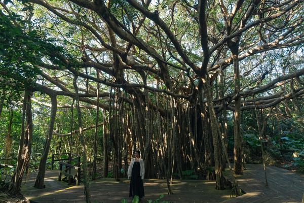 YouTubeで、柴咲コウさんが沖縄「やんばる国立公園」を巡り魅力を発信する動画公開！