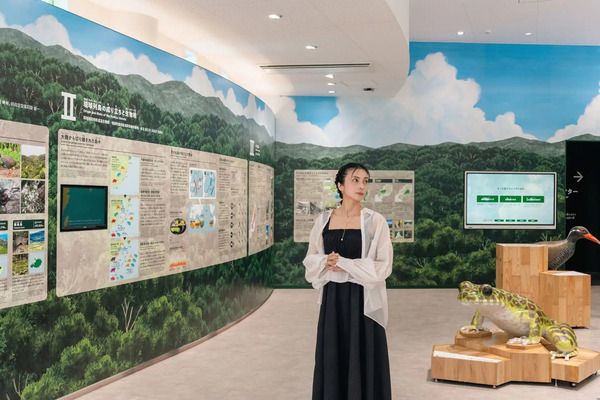 YouTubeで、柴咲コウさんが沖縄「やんばる国立公園」を巡り魅力を発信する動画公開！