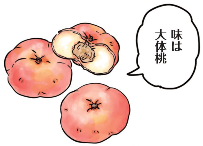 ドイツ料理のシュパーゲルに注目！旅人・低橋さんが楽しむ旬の食材とローカルフード【世界思い出旅ごはん おかわり】