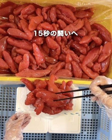 【北海道白老町】専用の箸を使い15秒間で持ち上げたたらこを持ち帰る「たらこ盛り放題」開催！玉ねぎ・じゃがいもの詰め放題も