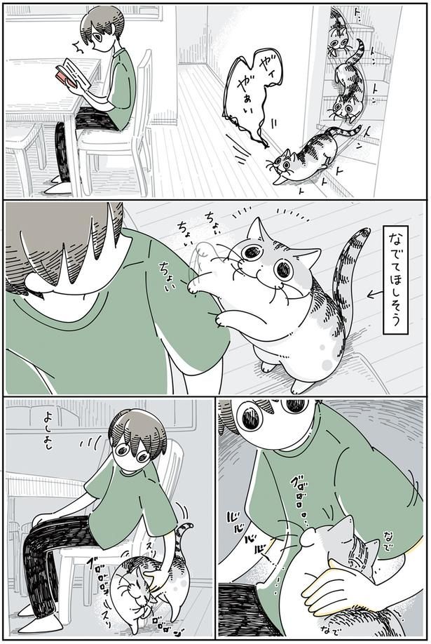 寄り道しちゃうネコ （C）キュルZ／KADOKAWA